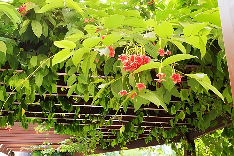 Alter, 3 dorms, paz e natureza a 100m da praia
