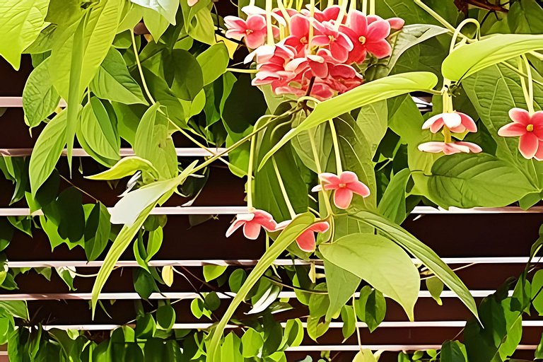 Alter, 3 dorms, paz e natureza a 100m da praia