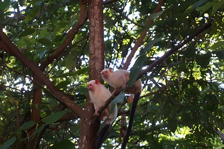 Alter, 3 dorms, paz e natureza a 100m da praia