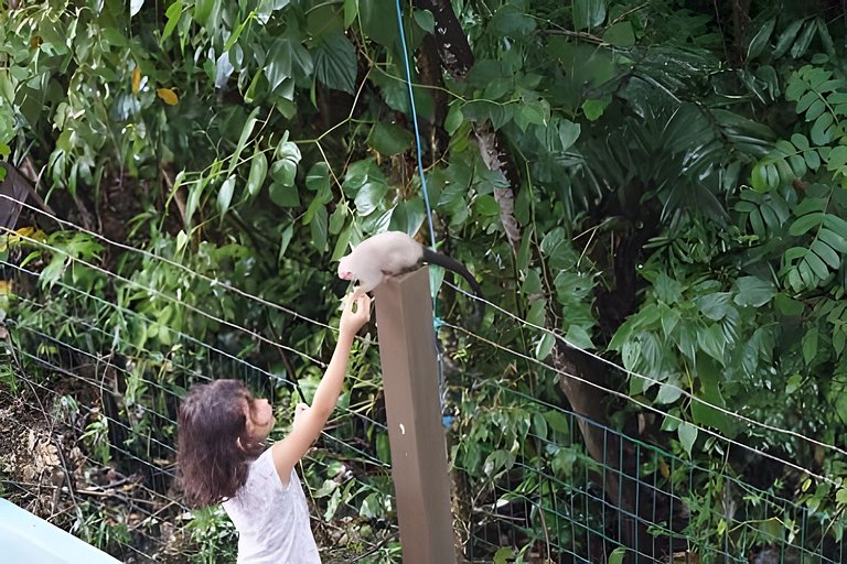 Alter, 3 dorms, paz e natureza a 100m da praia