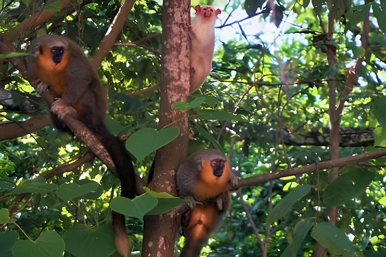 Alter, 3 dorms, paz e natureza a 100m da praia