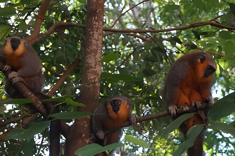Alter, 3 dorms, paz e natureza a 100m da praia