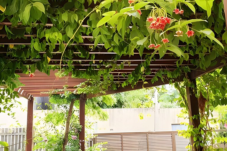 Alter, 3 dorms, paz e natureza a 100m da praia