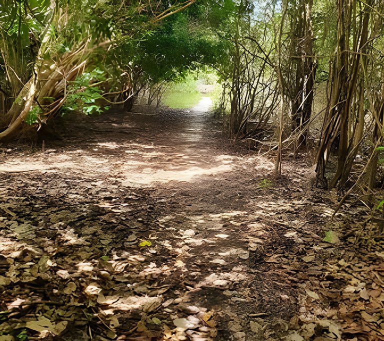 Alter, 3 dorms, paz e natureza a 100m da praia