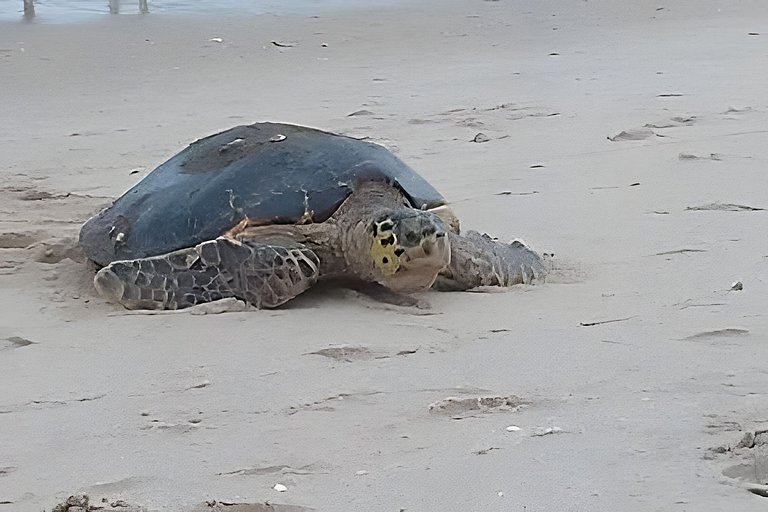 João Pessoa: a dois passos do paraíso -2 suítes com A/C, vis