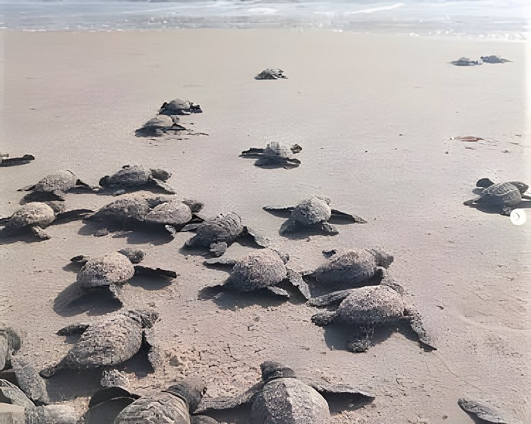João Pessoa: a dois passos do paraíso -2 suítes com A/C, vis