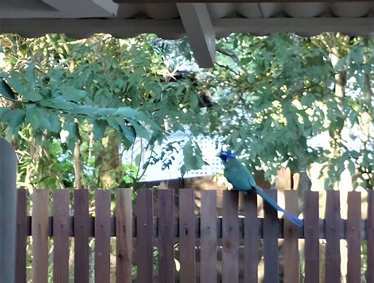 Alter e Estilo - a 100m da praia do Lago Verde