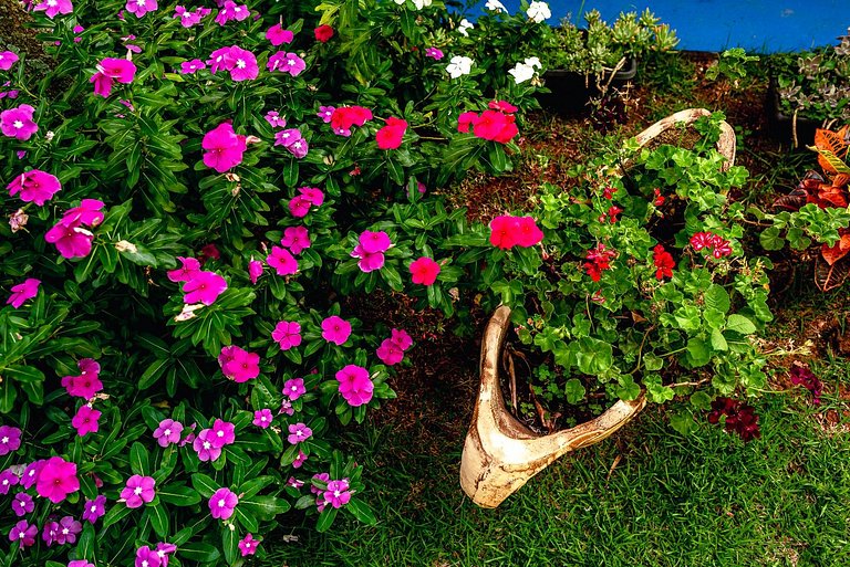 Chácara com VISTA para as Montanhas ; PET FRIENDLY