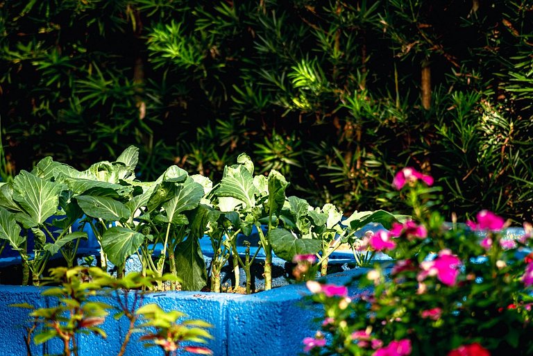 Chácara com VISTA para as Montanhas ; PET FRIENDLY