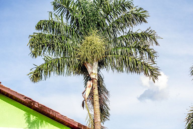 Chácara com VISTA para as Montanhas ; PET FRIENDLY