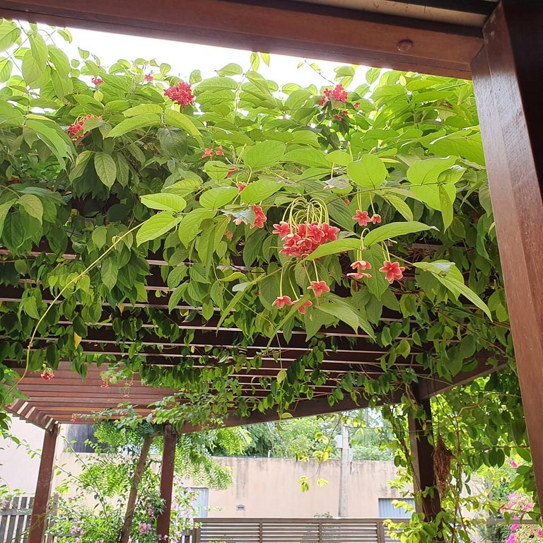 Alter, 3 dorms, paz e natureza a 100m da praia